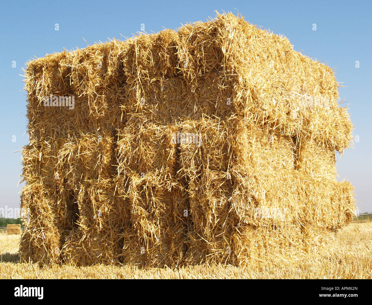 blue sky square golden wheat hay bale stubble Stock Photo Alamy