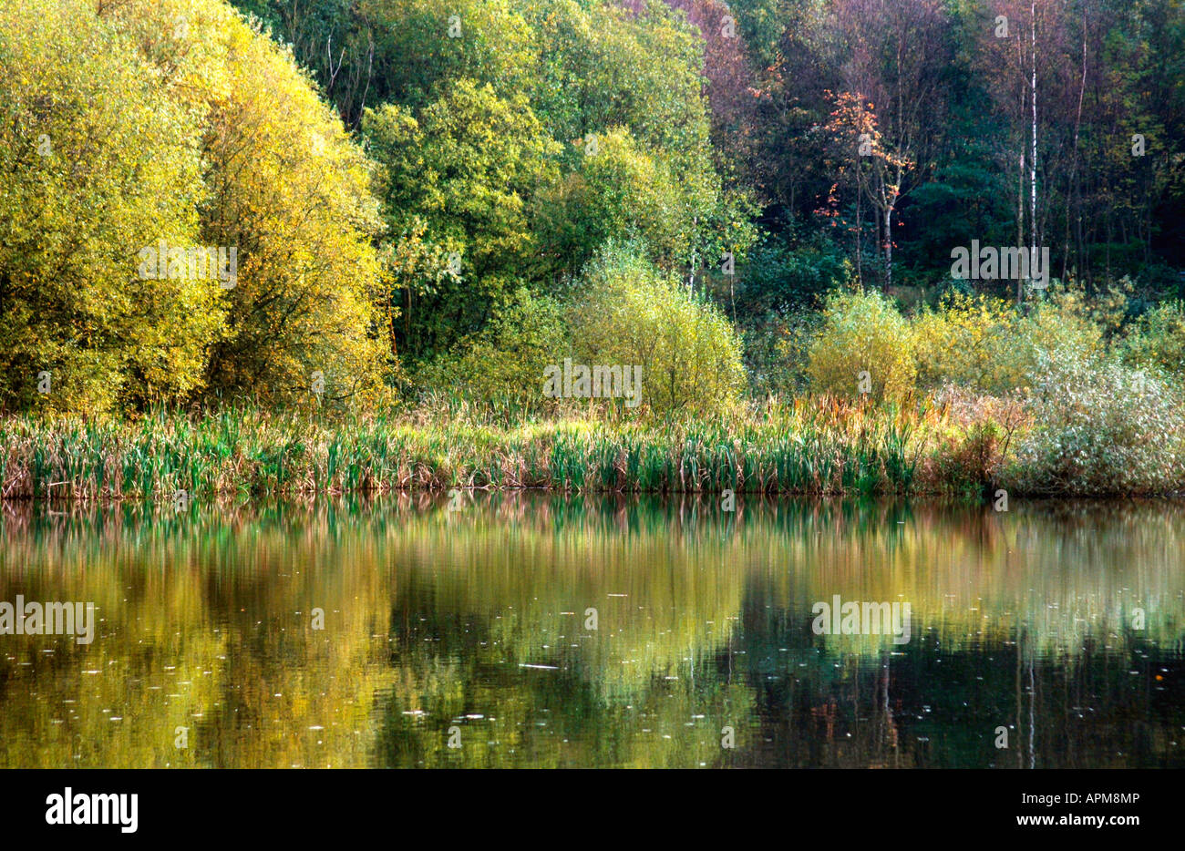 Reflections In A Lake Stock Photo - Alamy