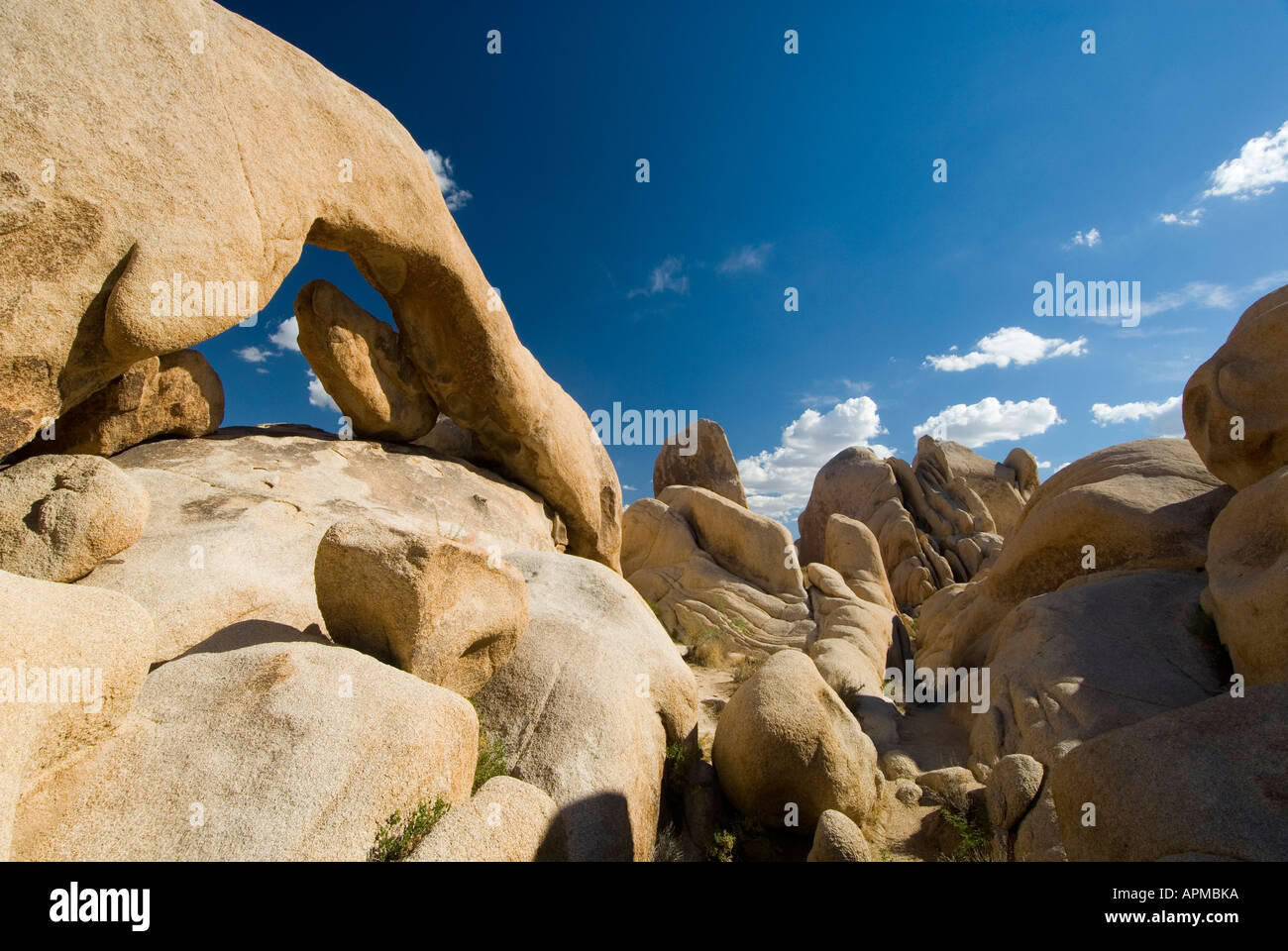 Arch Rock Joshua Tree National Park California Stock Photo Alamy