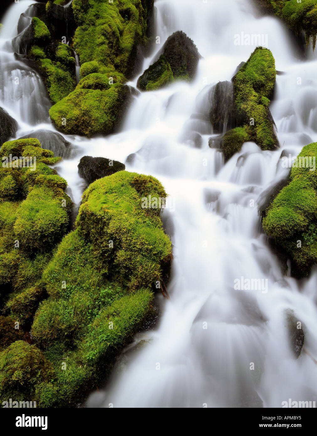 Oregon's Clearwater Falls cascades through the Umpqua National Forest, Stock Photo