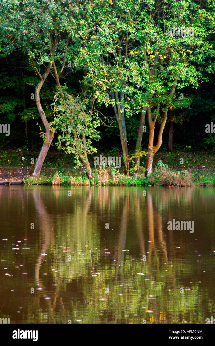 Reflections In A Lake Stock Photo - Alamy