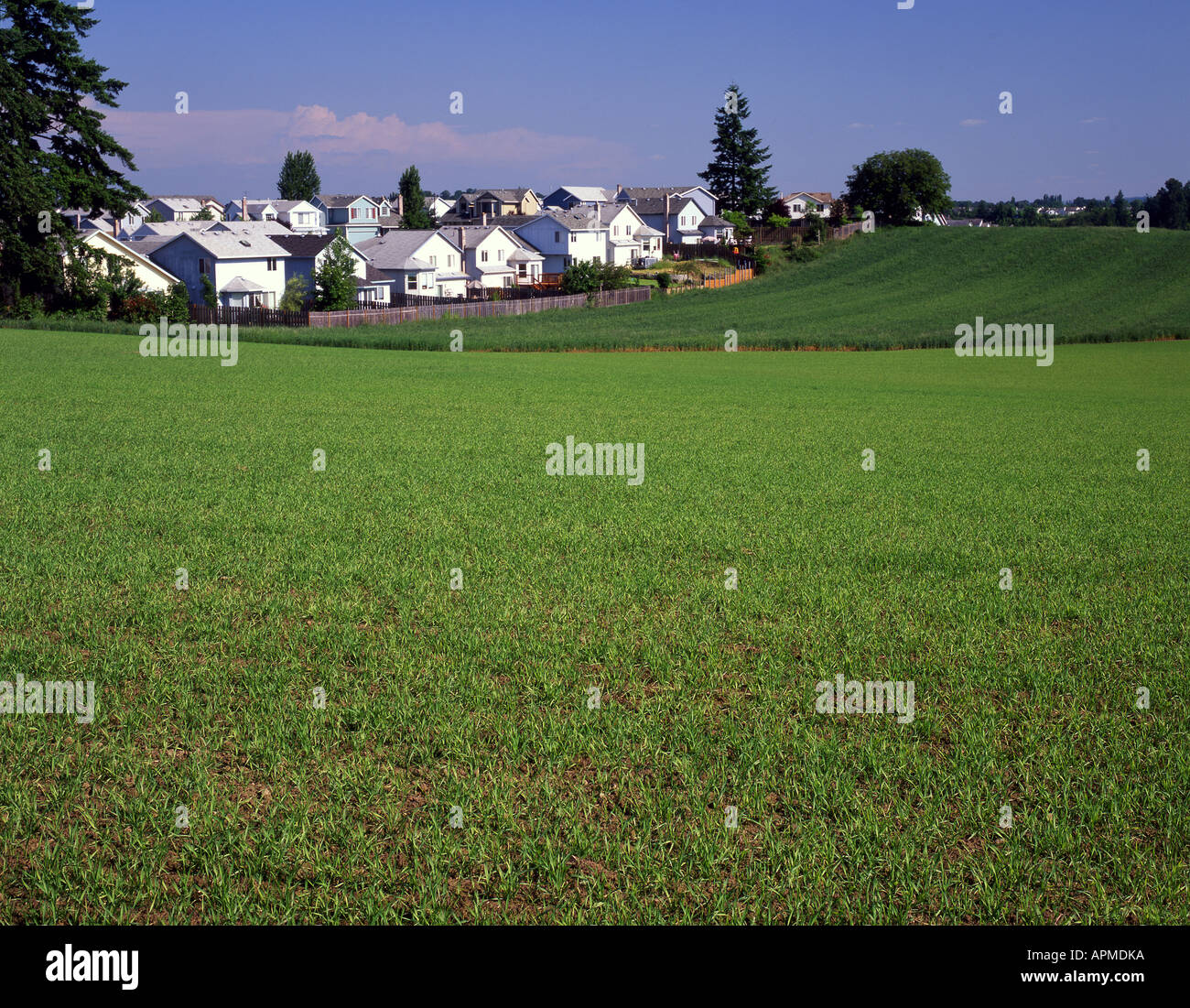 Farmland borders Portland's Urban Growth Boundary which separates urban