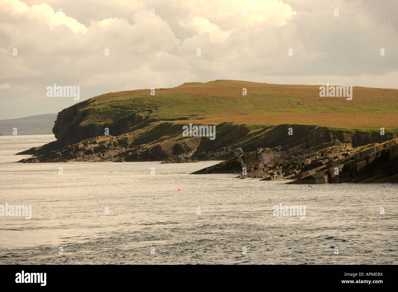 The uninhabited island of Swona Pentland Firth Orkney Scotland UK Stock Photo