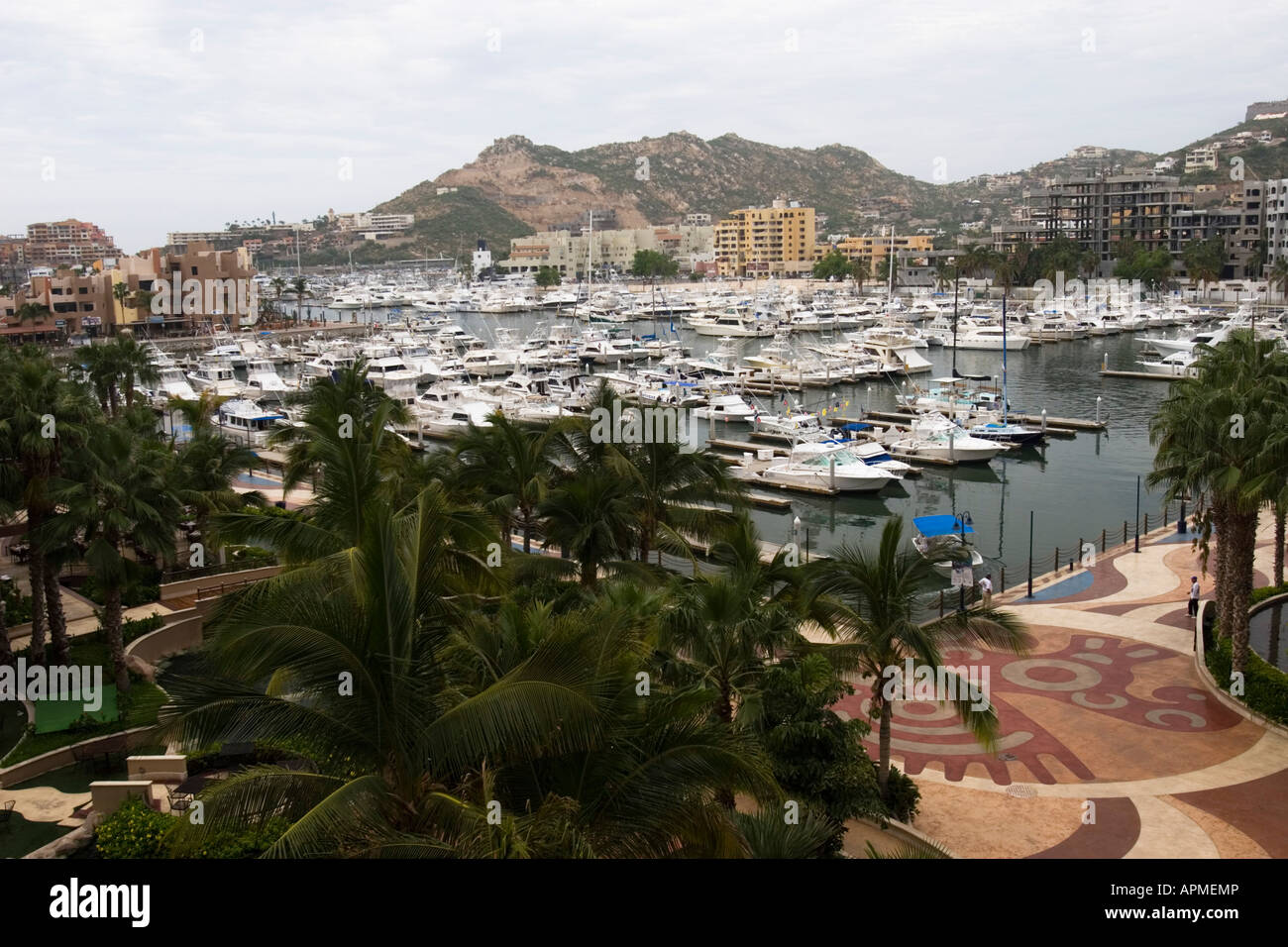 Game fishing boats Cabo San Lucas Marina Baja California Sur Mexico ...