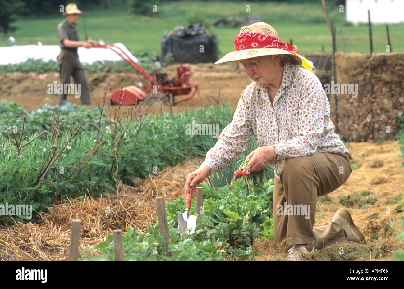 Senior Res High Resolution Stock Photography and Images - Alamy