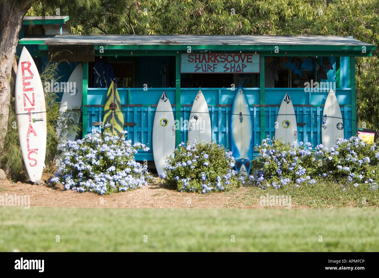 Rustic wooden surf shop offering board rental near Sharks Cove north