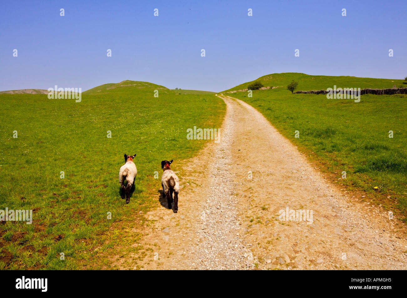 thorpe common thorpe village peak district national park derbyshire england Stock Photo Alamy