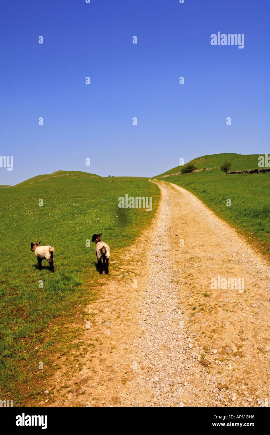 thorpe common thorpe village peak district national park derbyshire england Stock Photo Alamy