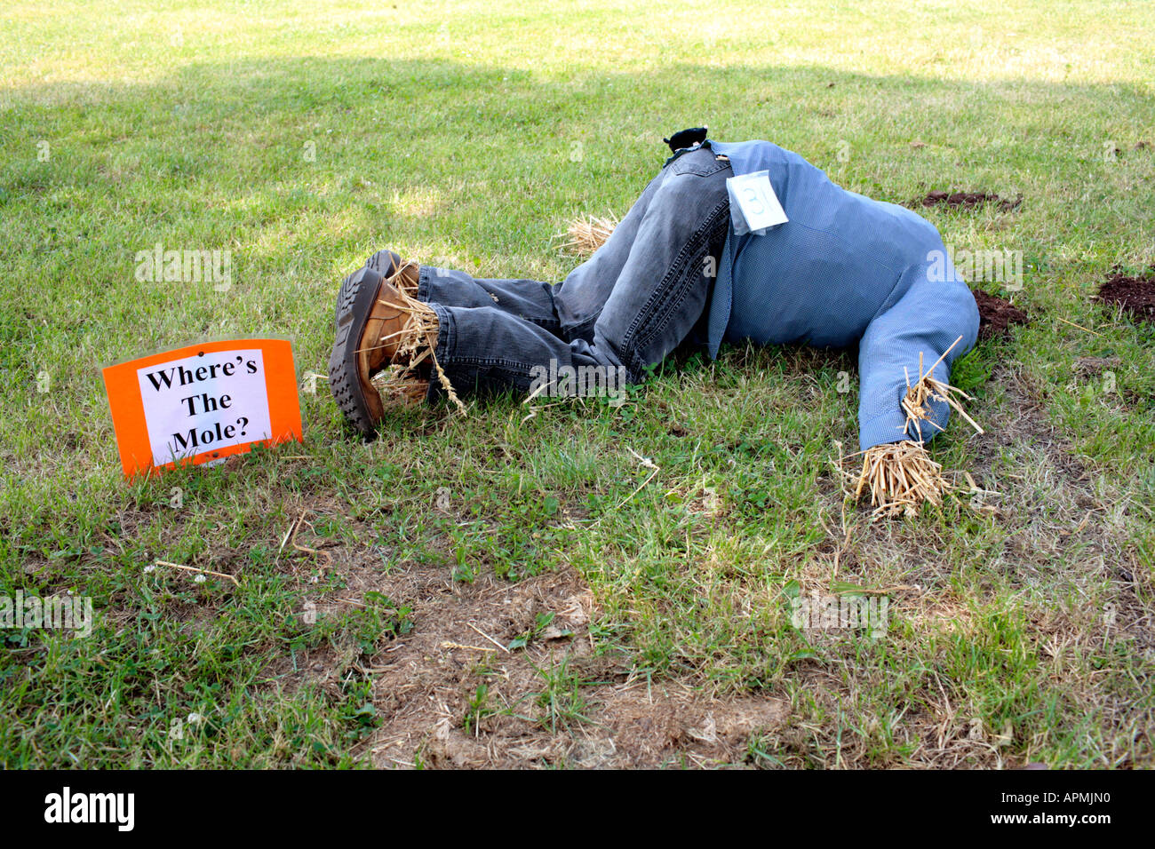 A Mannequin from a Scarecrow Competition with its head buried in the