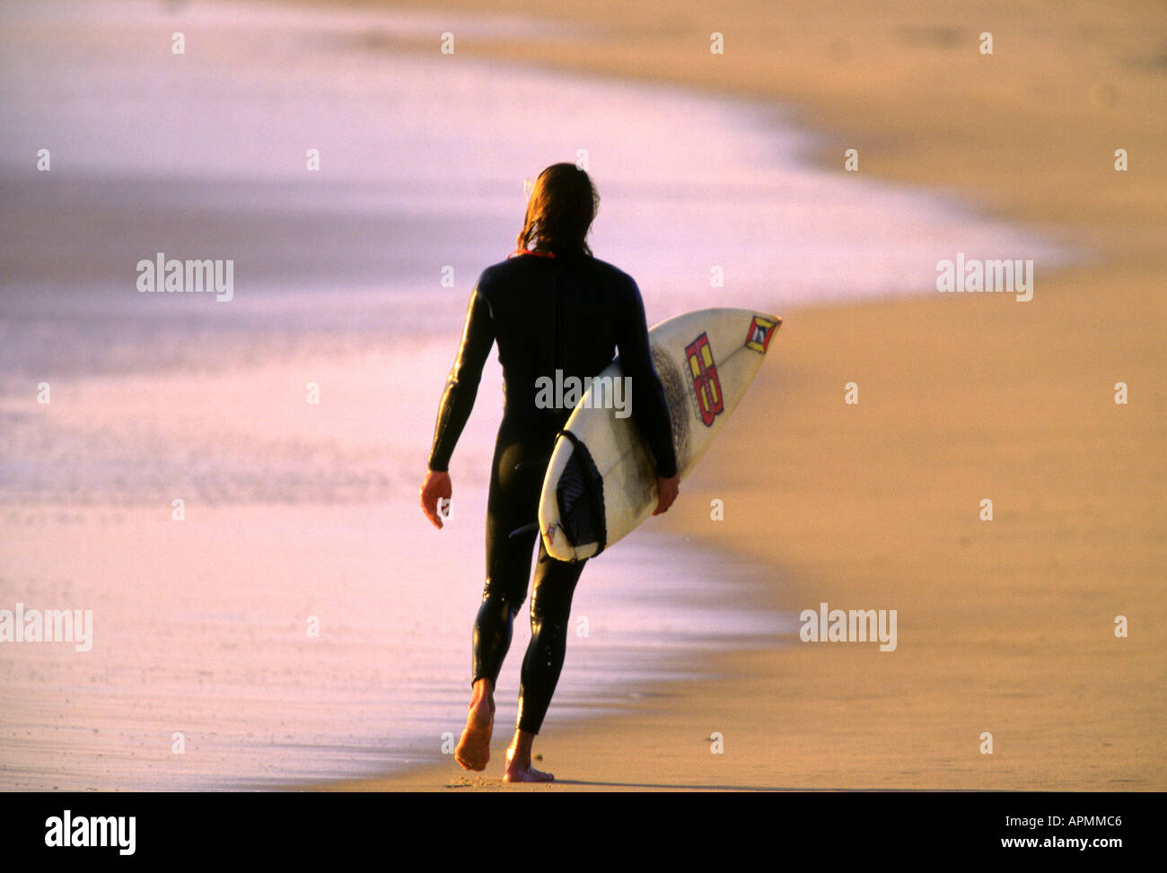 Female surfer carrying board hi-res stock photography and images - Alamy