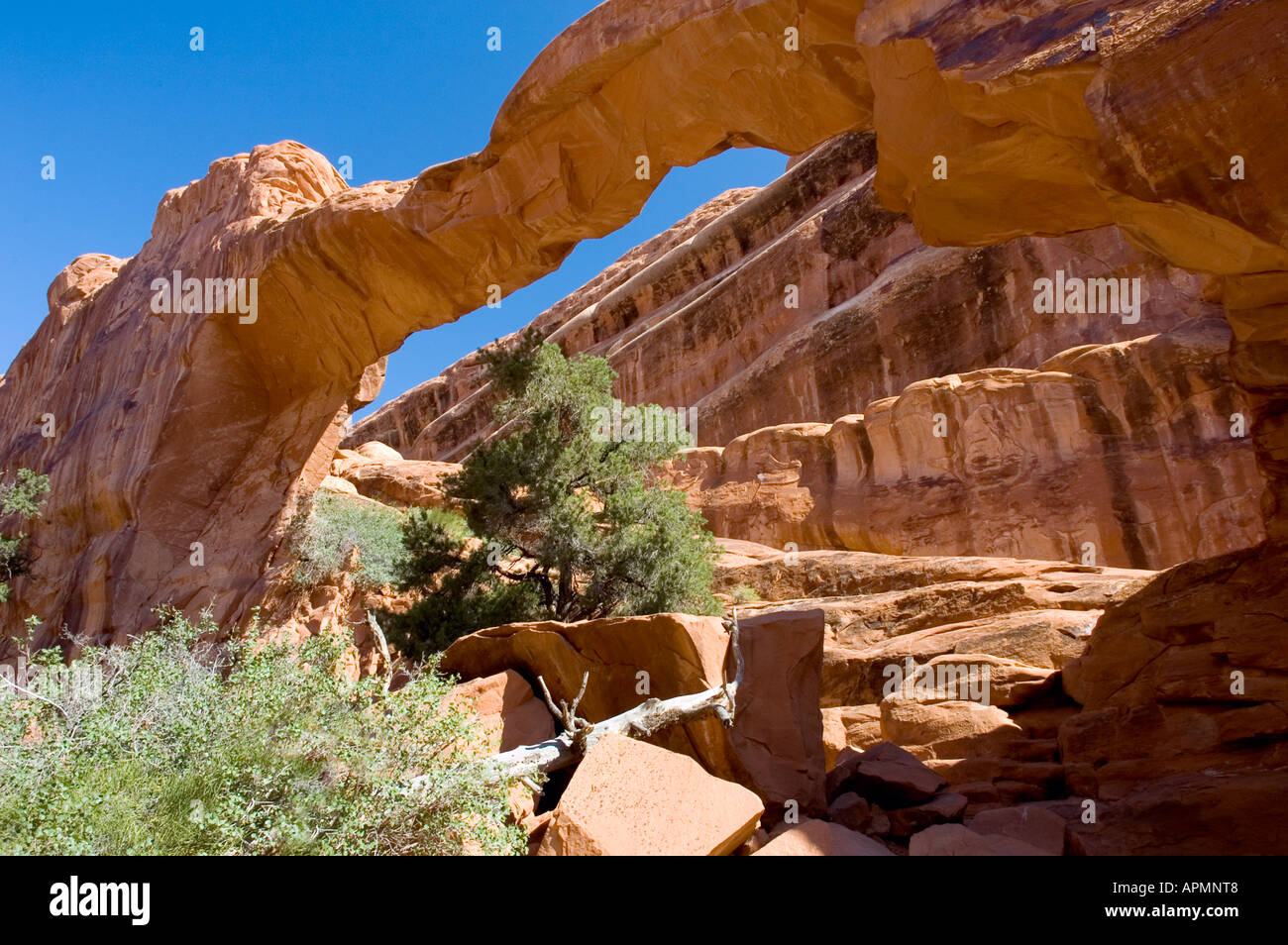 Landscape Arch Collapse