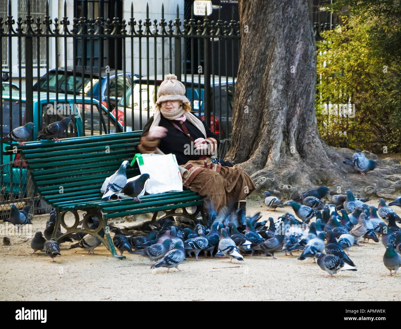 Feeding pigeons in a park in the centre of Paris France Europe Stock Photo