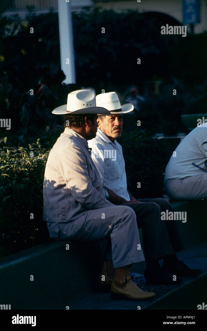 A couple of local men wearing wide brimmed hats and sitting in the late afternoon sunshine in the Zocalo square in the city of Tepic Stock Photo