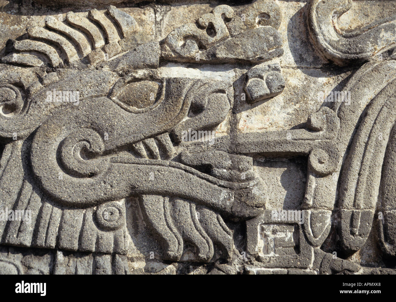 Detail of a bas relief of a feathered serpent on the Temple of Quetzalcoatl plumed serpent at the site of Xochicalco a centre of commerce and culture thought to have been the meeting place of Mayans Olmecs and Zapotecs Stock Photo