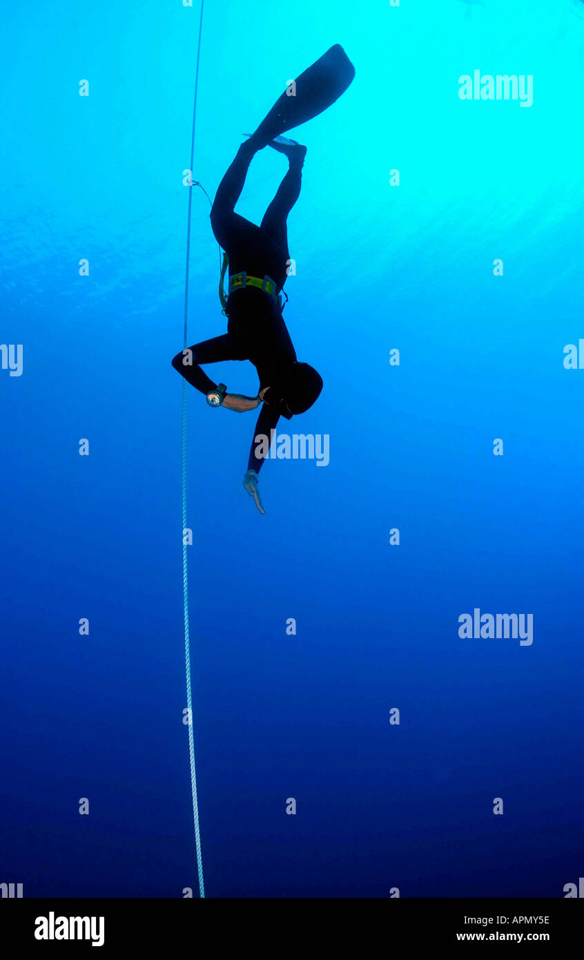 WORLD FREEDIVING CHAMPIONSHIPS Stock Photo Alamy