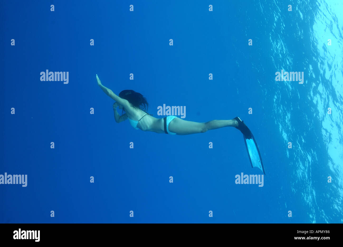 WORLD FREEDIVING CHAMPIONSHIPS Stock Photo Alamy