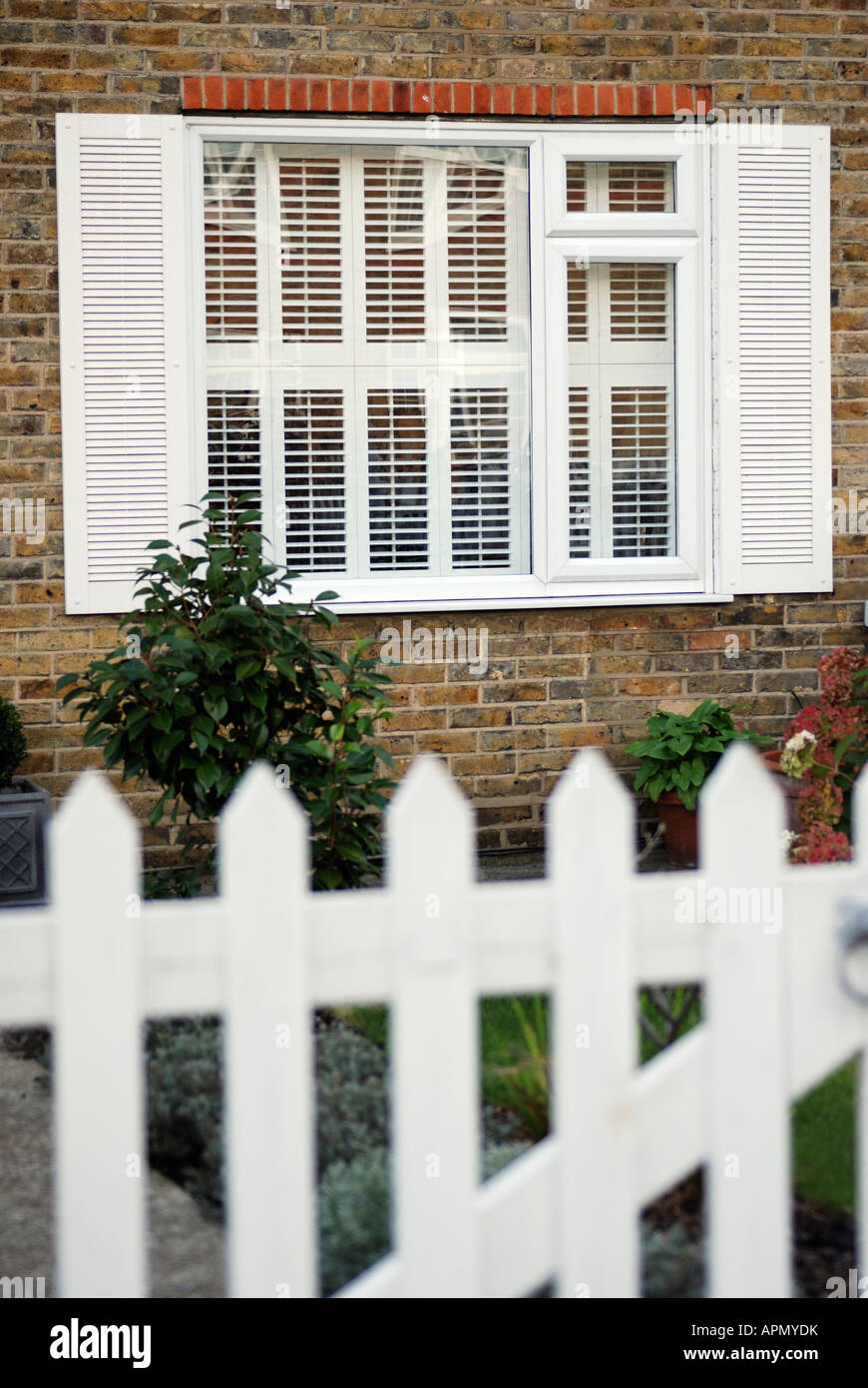 window with interior plantation shutters and exterior shutters with garden and picket fence in foreground - Custom Plantation Shutters window with interior plantation shutters and exterior shutters with garden and picket fence in foreground - Custom Plantation Shutters