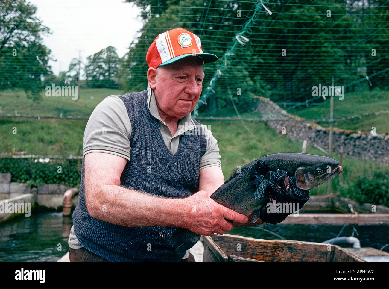 Kilnsey trout farm hires stock photography and images Alamy