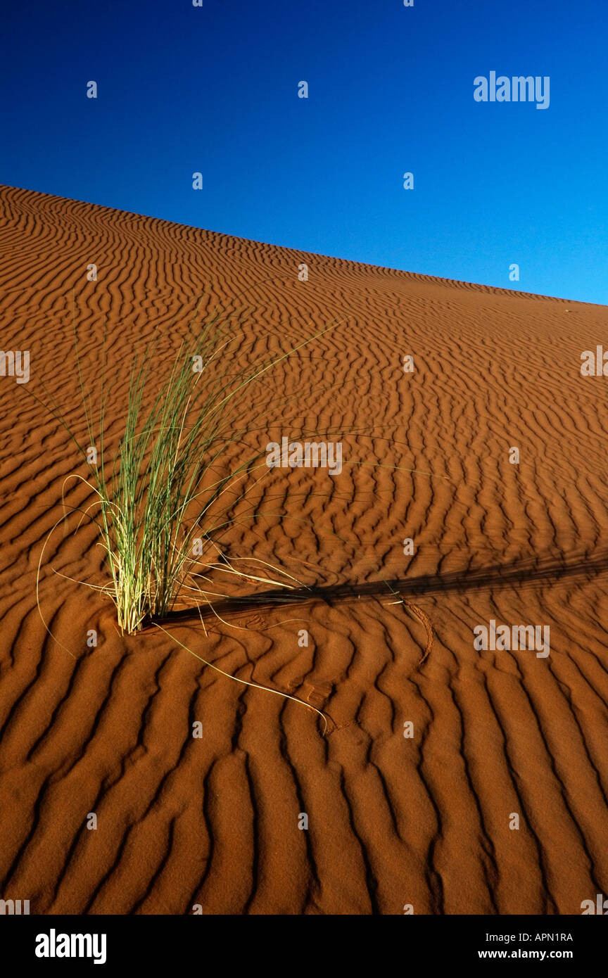 Grass and sand Stock Photo