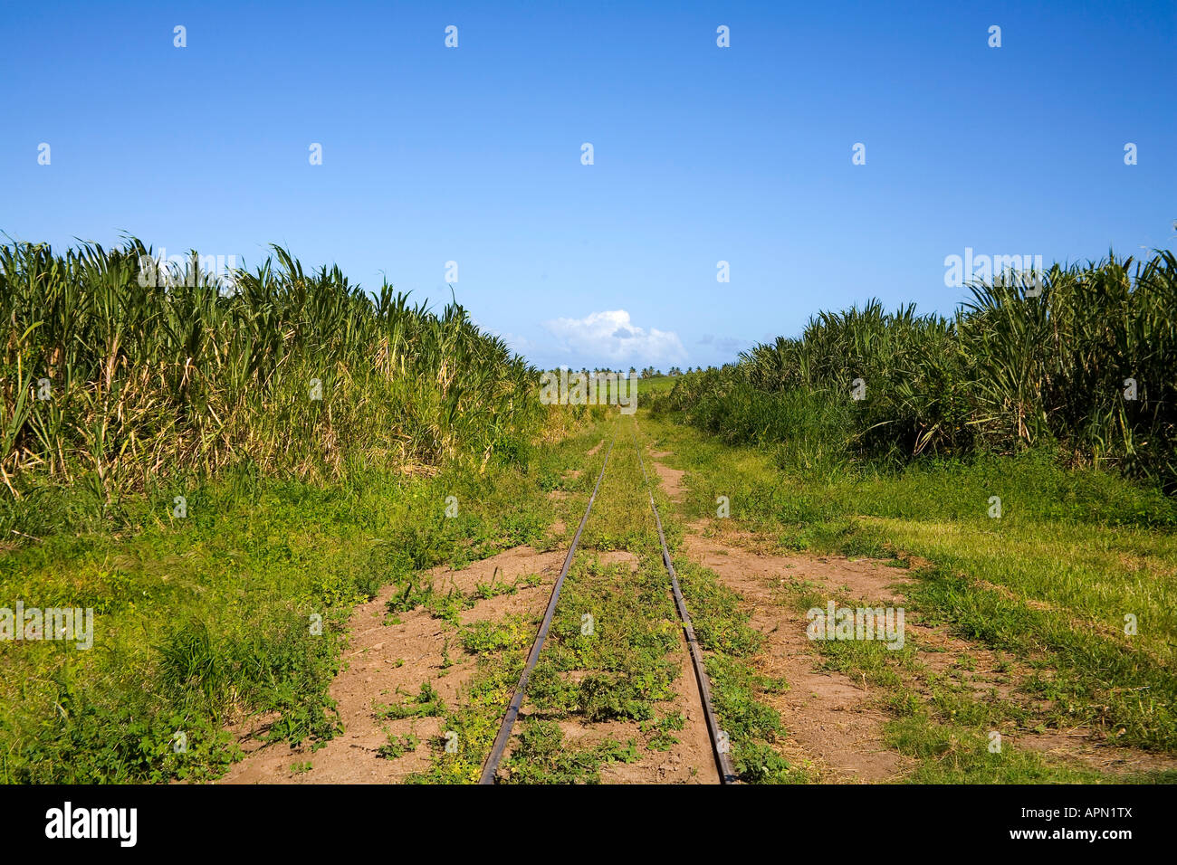 Old Sugar Plantation at St Kitts in the Caribbean Stock Photo