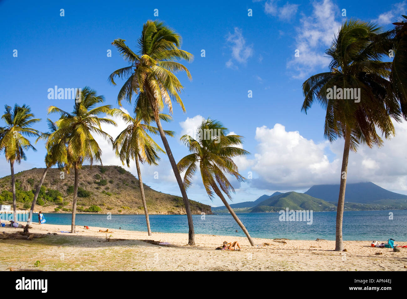Cockleshell Bay  Turtle beach at St Kitts in the Caribbean Stock Photo
