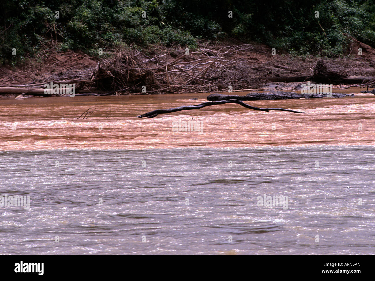 Rio madre de dios hires stock photography and images Alamy