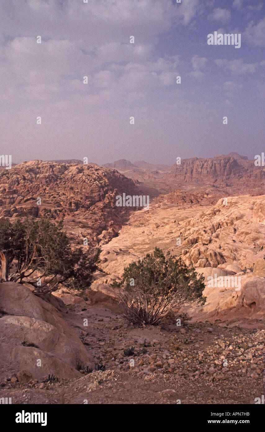 Petra jordan landscape hi-res stock photography and images - Alamy