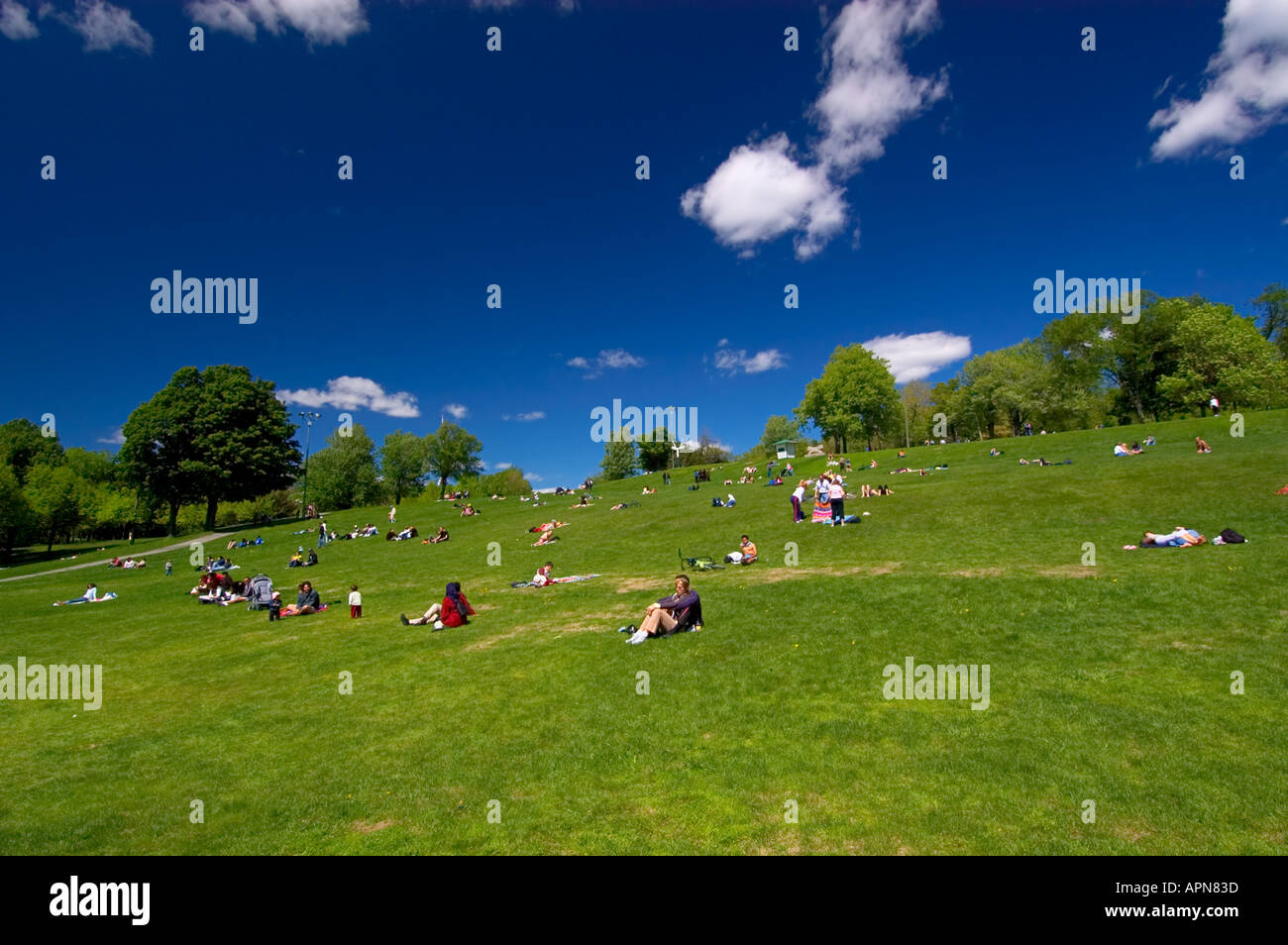 Beaver Lake, Mount Royal Park, Montreal, Quebec, Canada Stock Photo Alamy