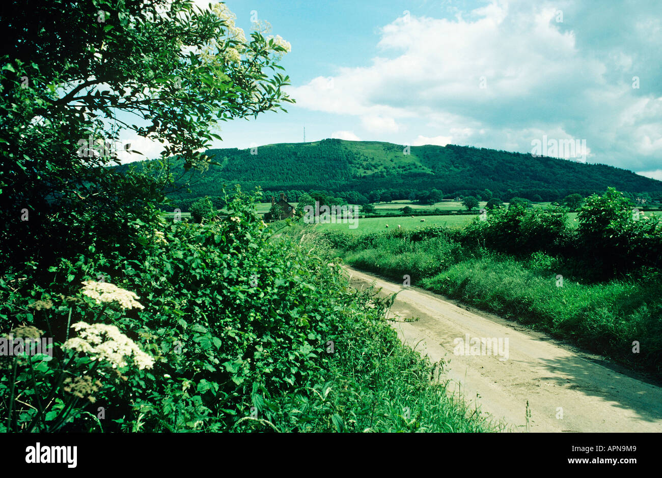 The wrekin nr Rushton Stock Photo Alamy