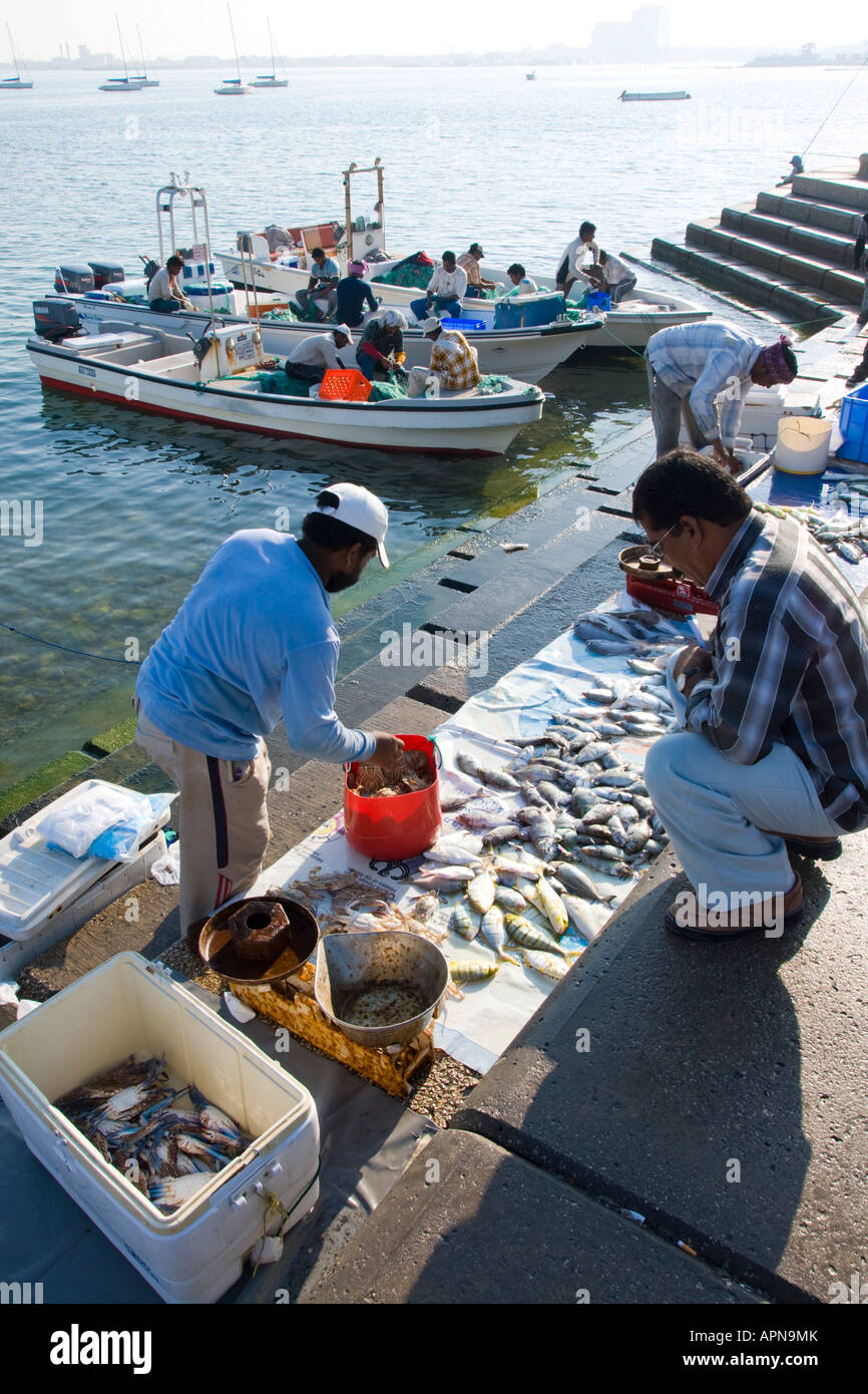 Middle east Qatar Doha harbour fish market Stock Photo Alamy