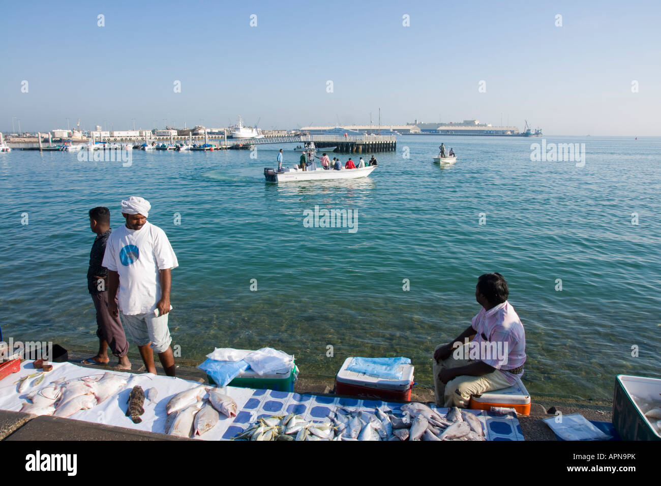 Middle east Qatar Doha harbour fish market Stock Photo Alamy