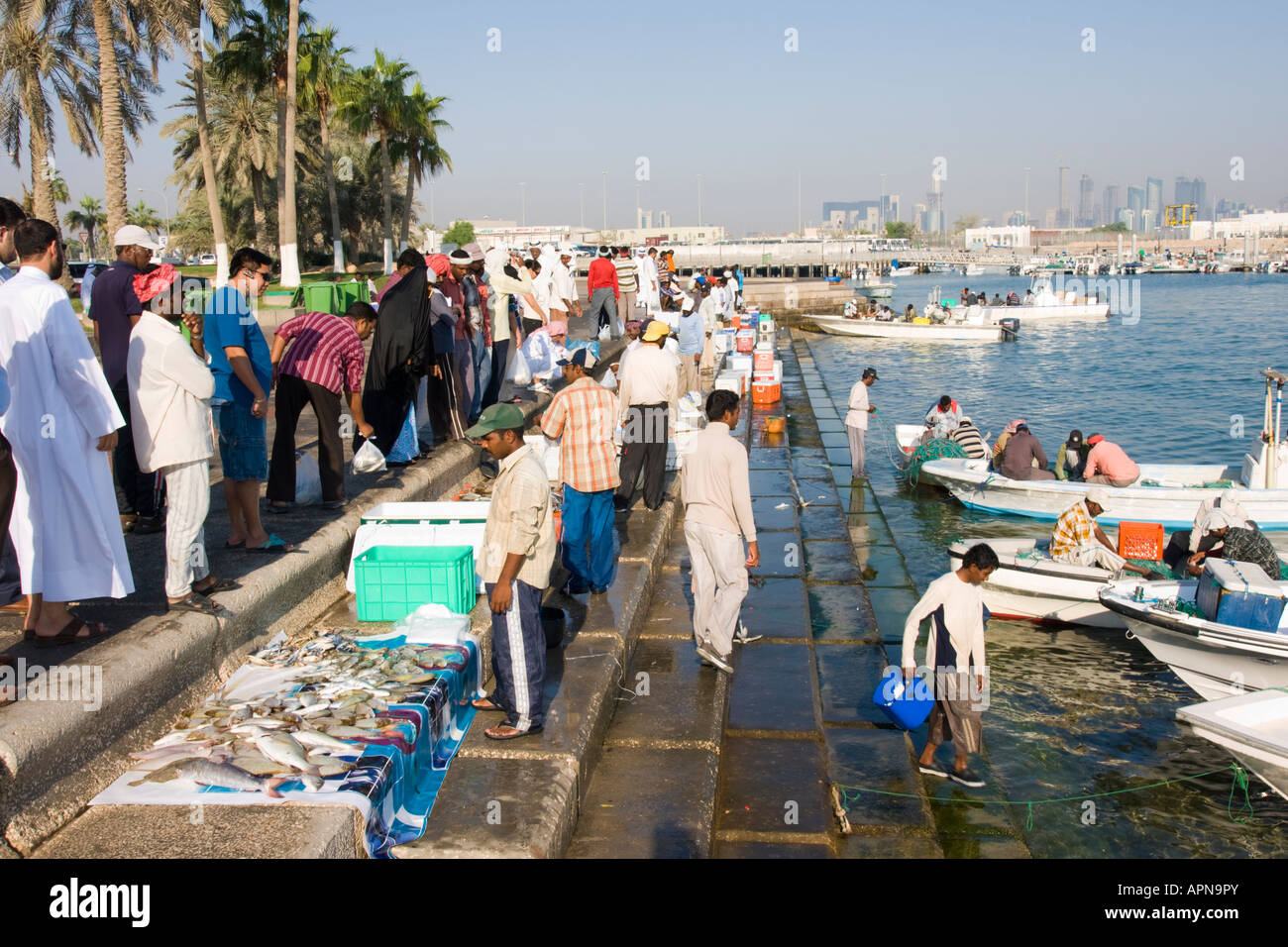 Middle east Qatar Doha harbour fish market Stock Photo Alamy