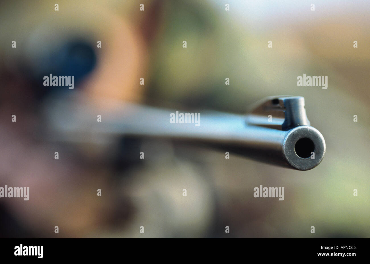 gun barrel and muzzle of a rifle Stock Photo Alamy