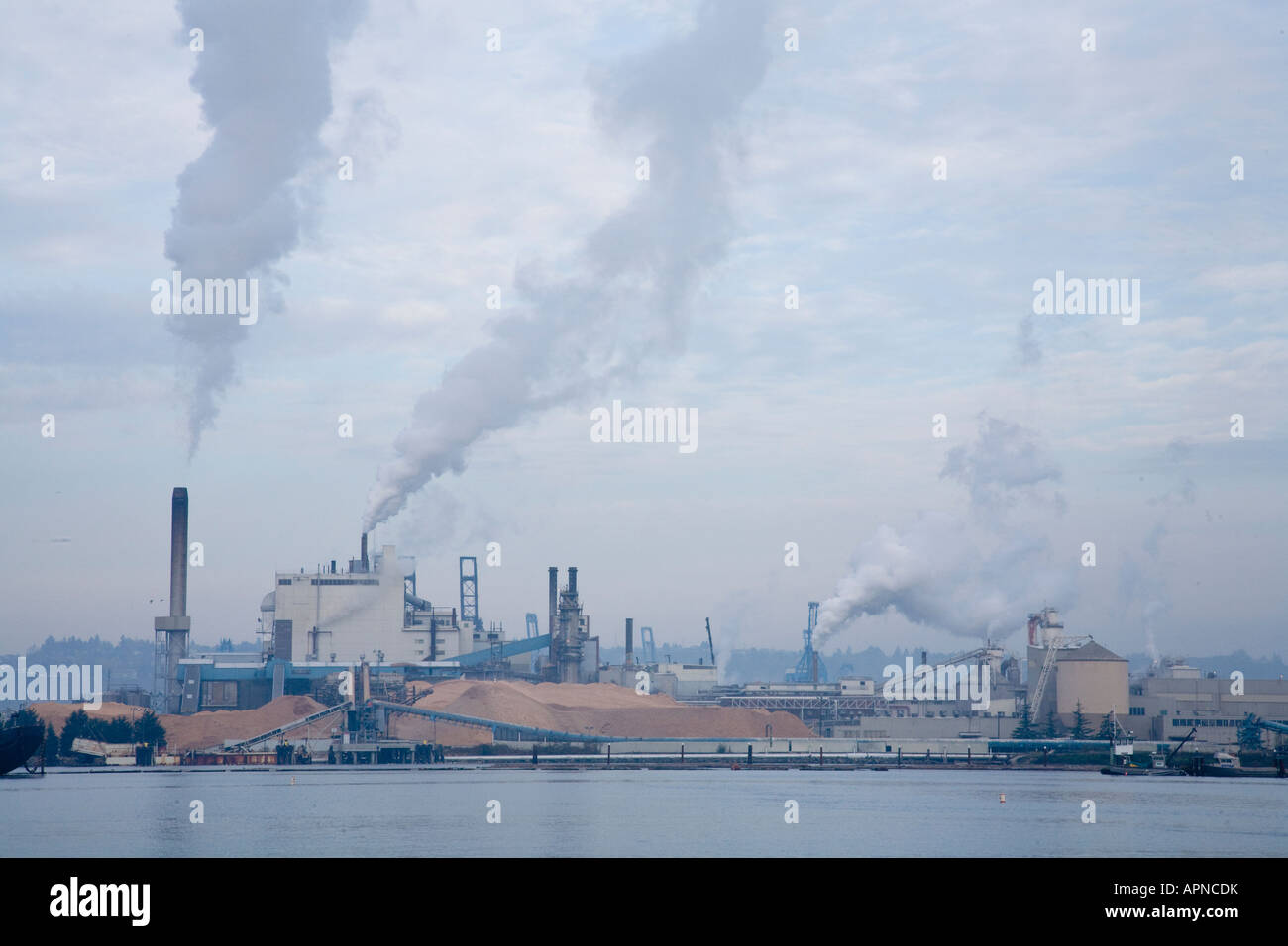 Large lumber mill on waterfront Stock Photo Alamy