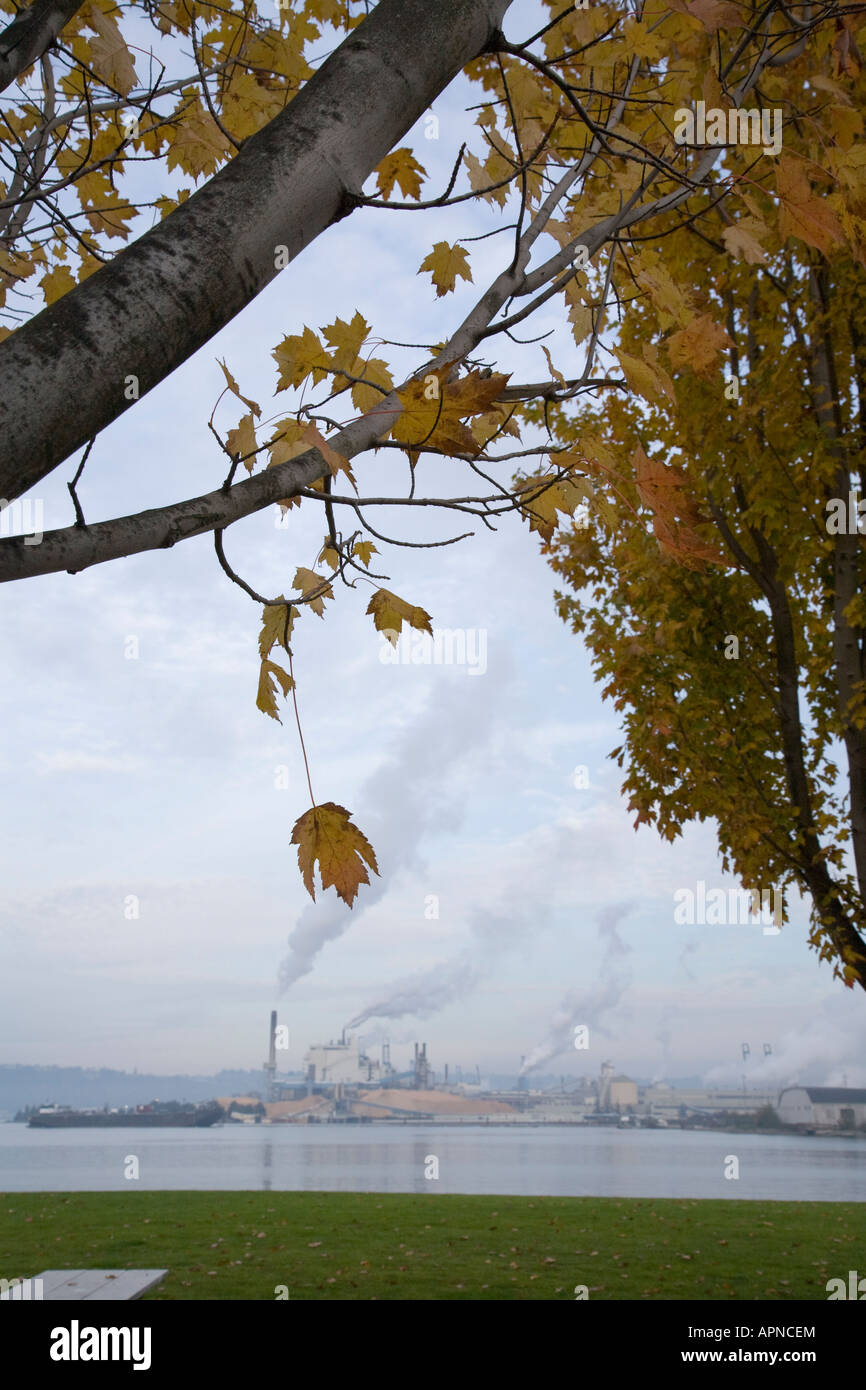 Large lumber mill on waterfront Stock Photo Alamy