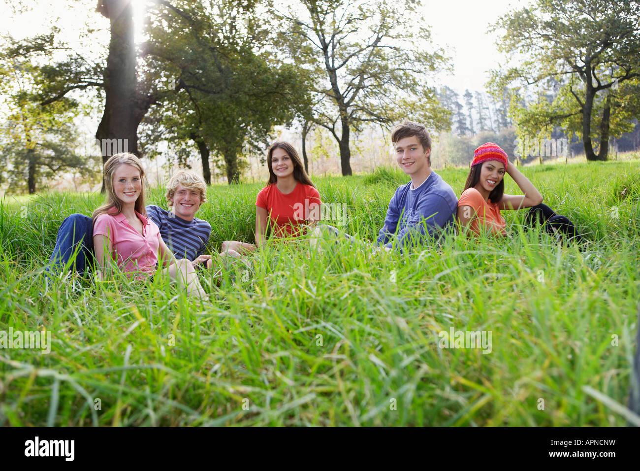 Five teenagers sitting in field (portrait) Stock Photo