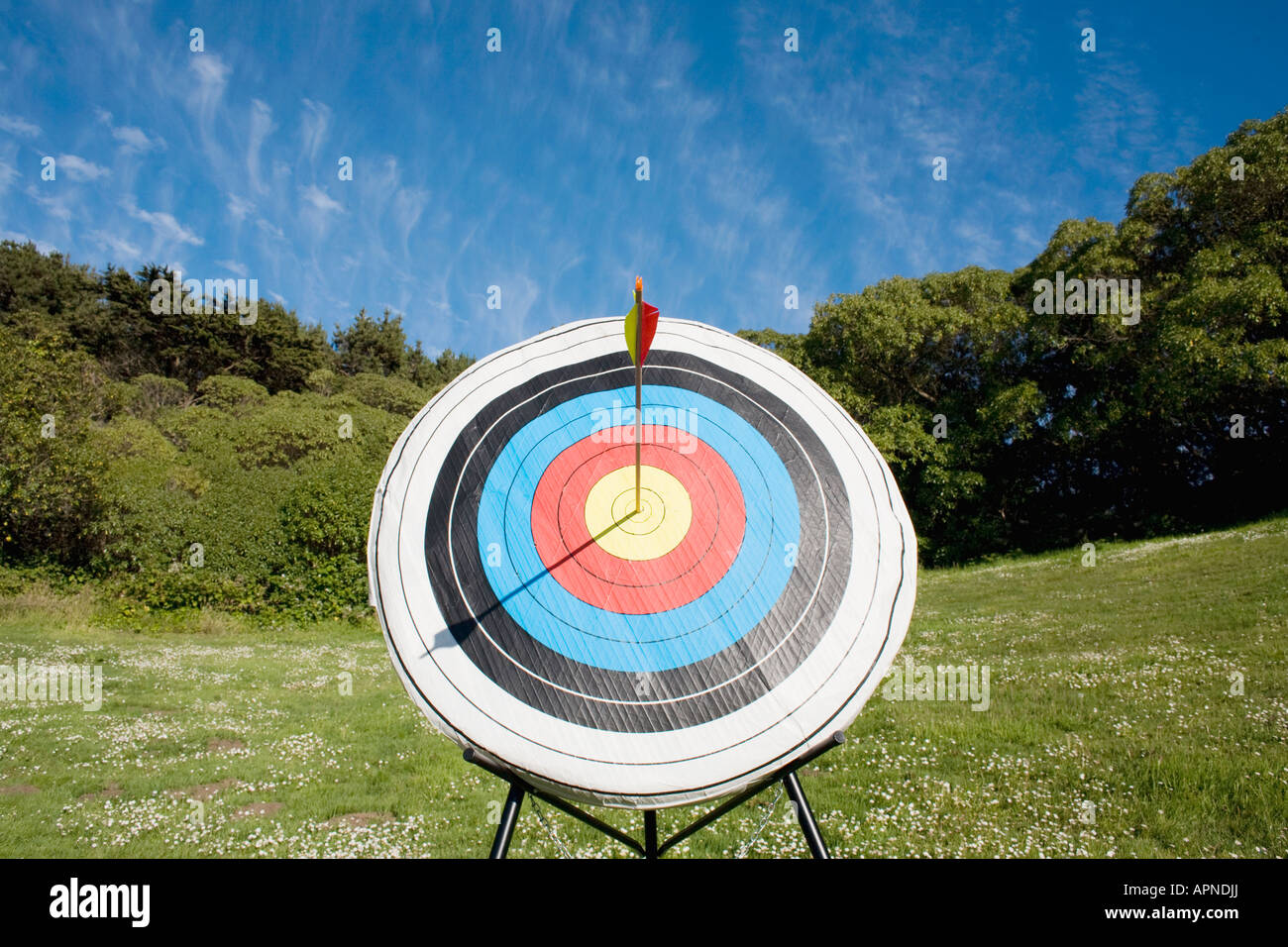 Arrow In Bullseye Of Target Stock Photo Alamy Arrow In Bullseye Of Target Stock Photo Alamy