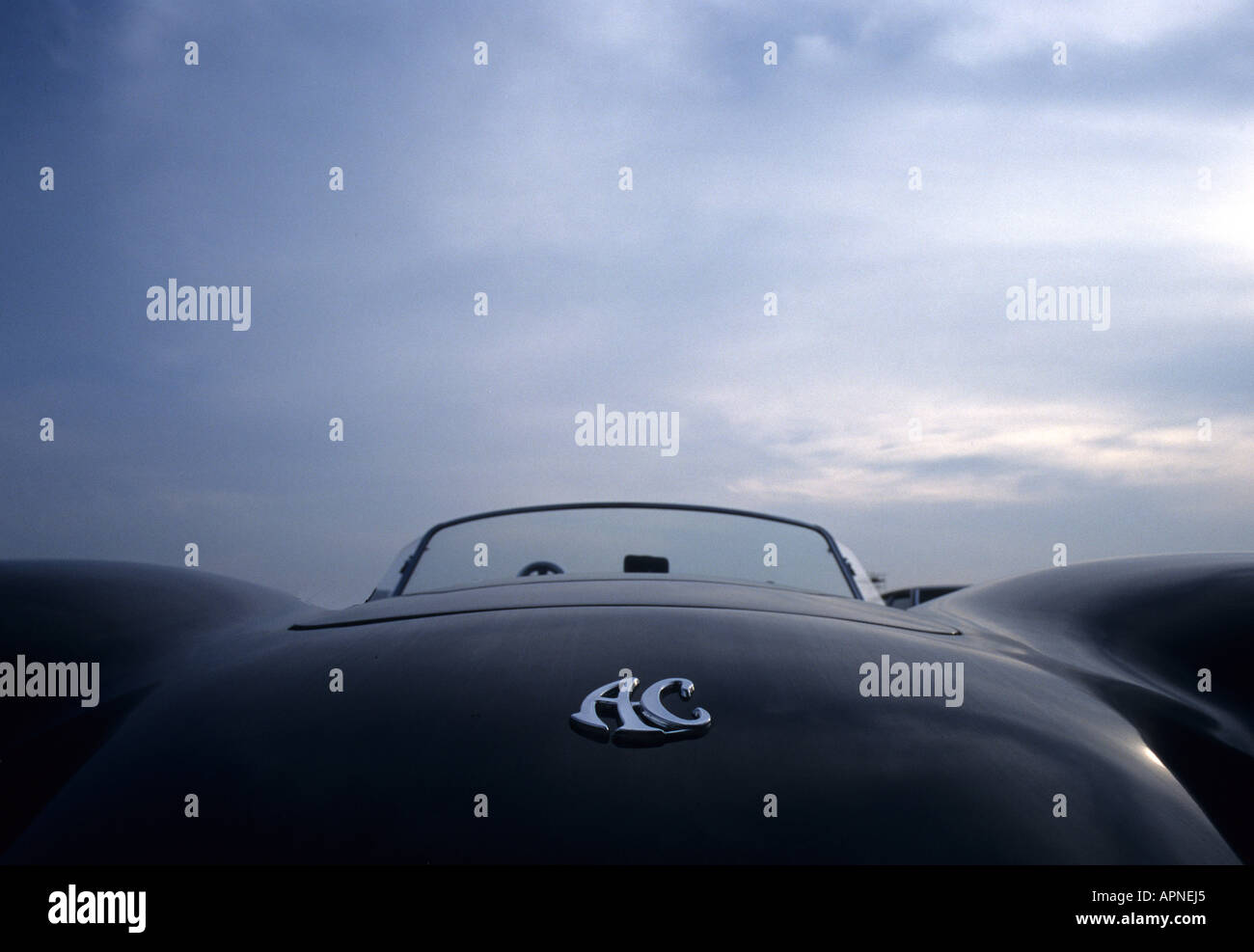 Ac cobra badge hi-res stock photography and images - Alamy