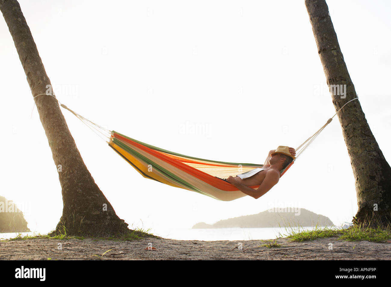 Mid adult man lying in hammock hi-res stock photography and images - Alamy
