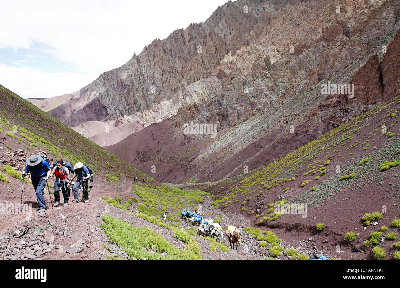 Trekking group ascending the Stok La pass in Ladakh India Stock Photo
