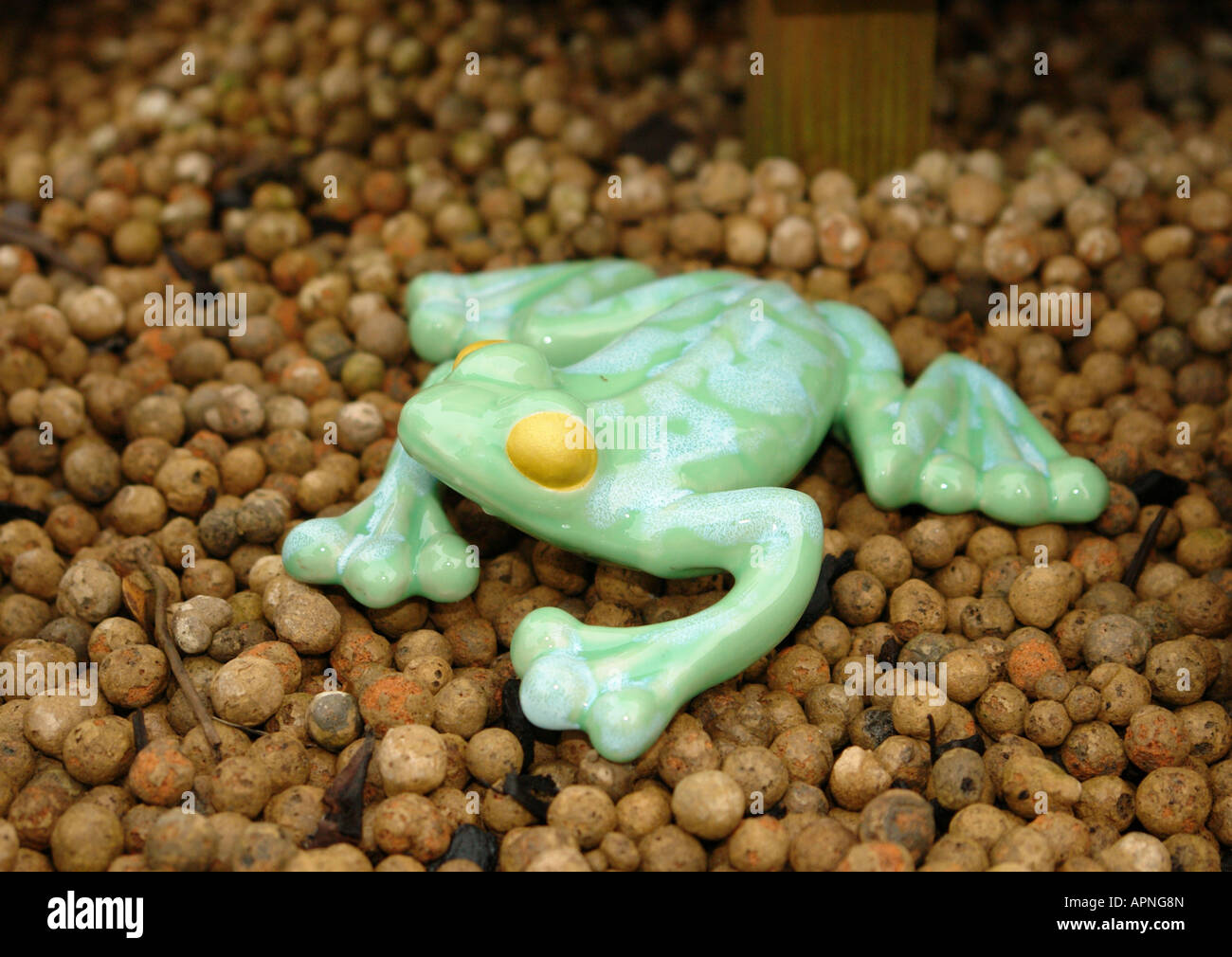 Garden ornament frog uk hi-res stock photography and images - Alamy