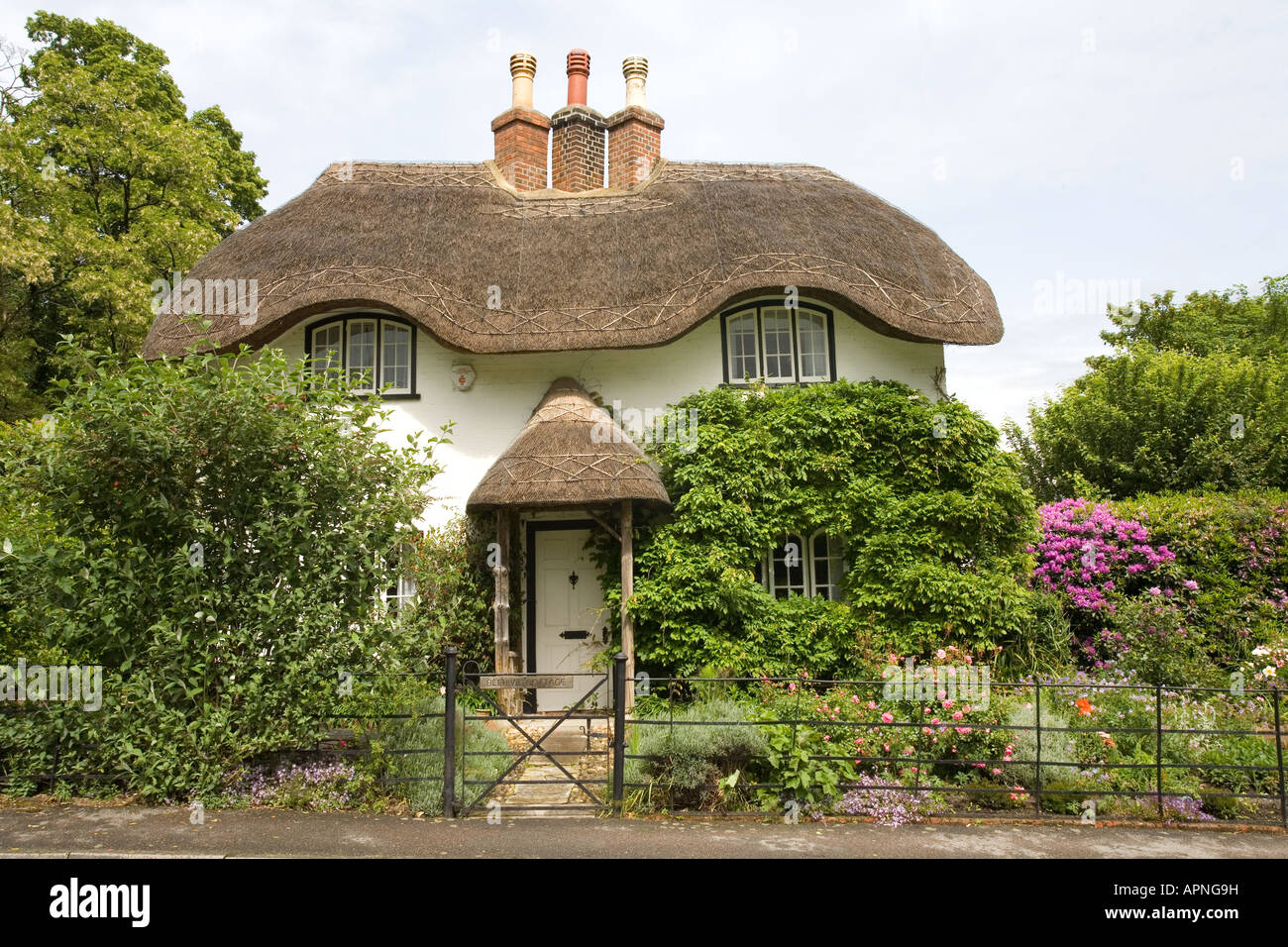 Thatched cottage, the New Forest Hampshire Stock Photo