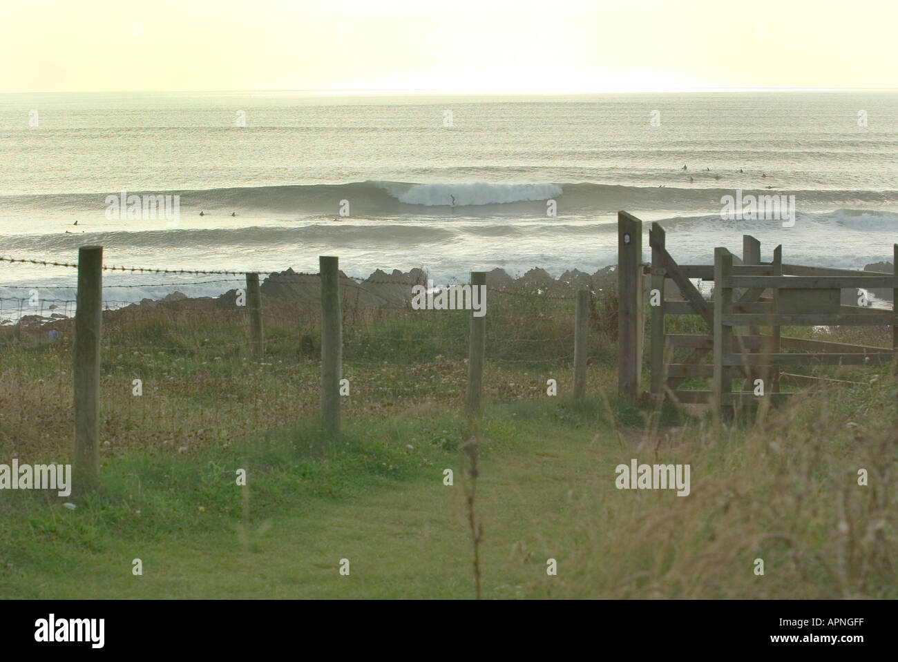 Extreme spot hi-res stock photography and images - Alamy