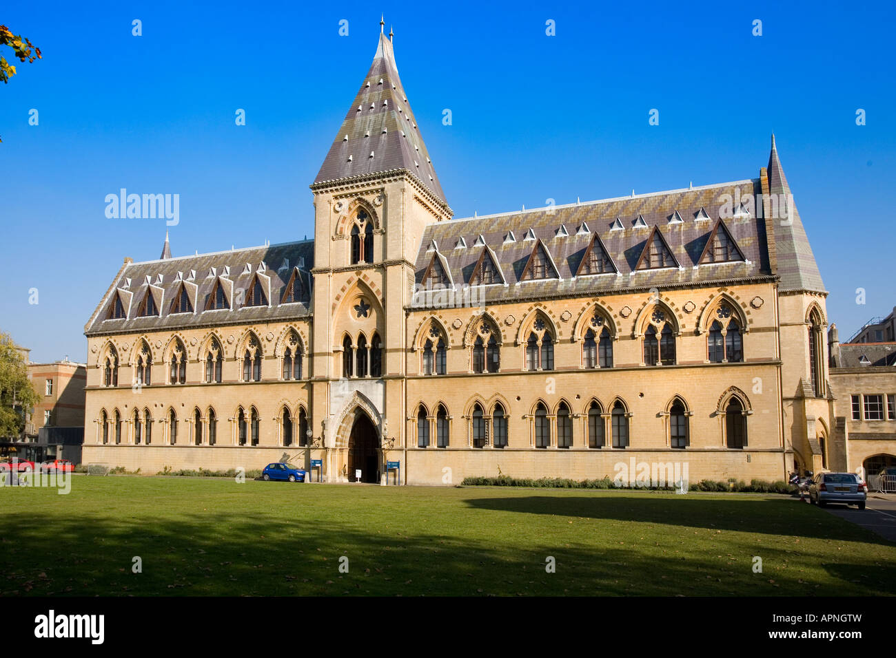 Oxford natural history museum Stock Photo