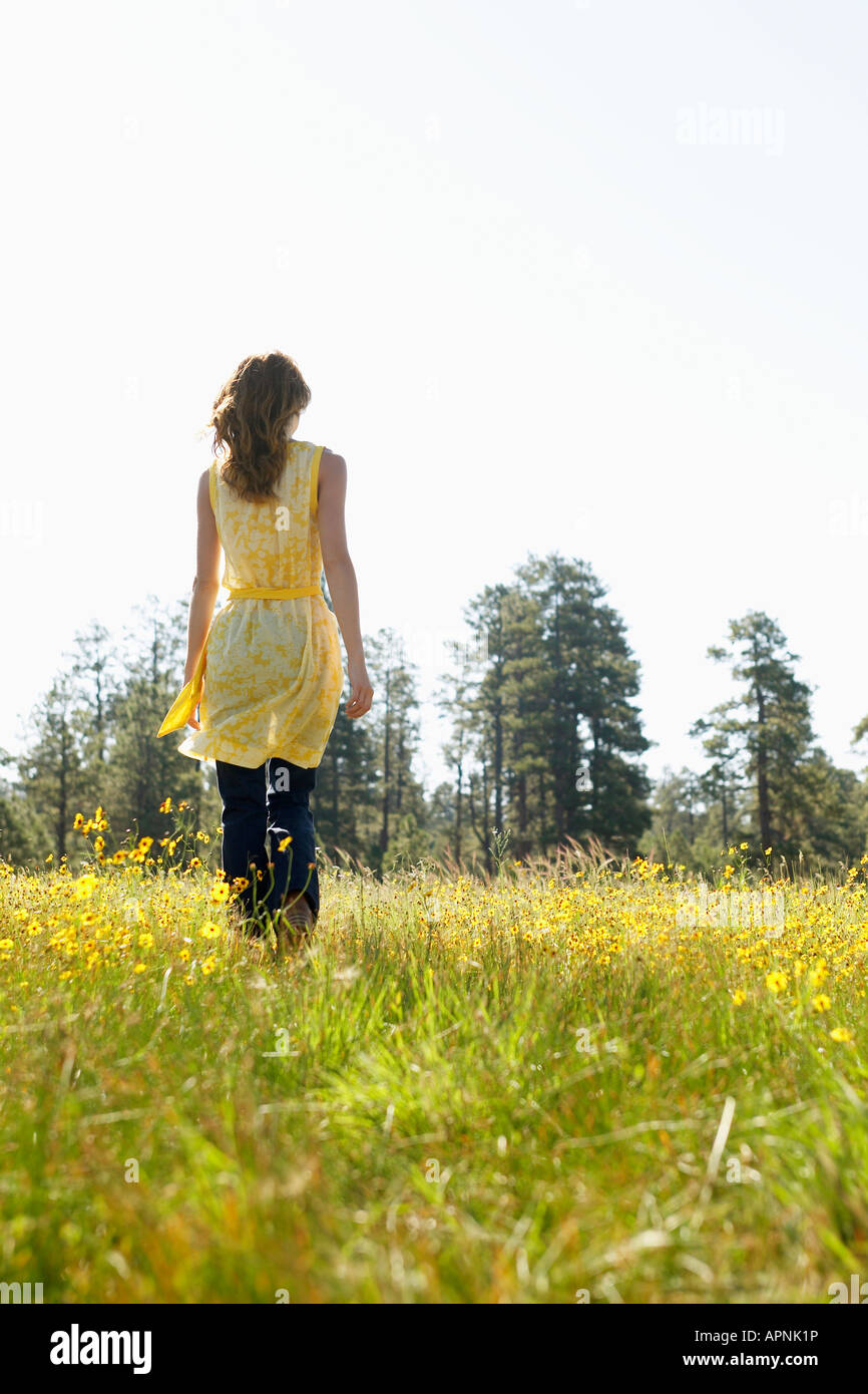Young woman walking in a field of wildflowers (rear view Stock Photo ...