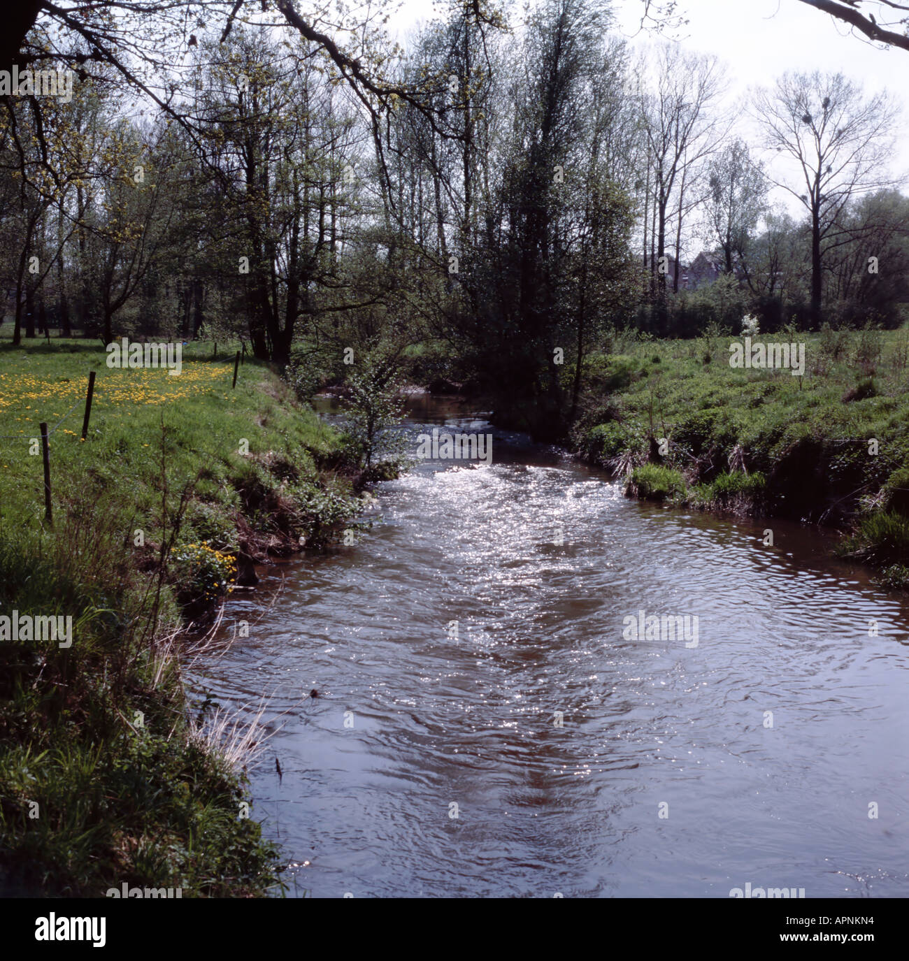 River Geul High Resolution Stock Photography and Images - Alamy