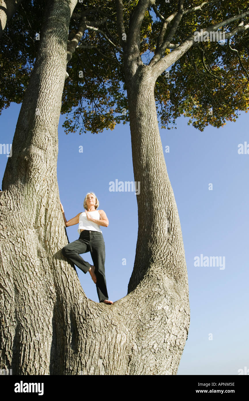Woman doing yoga poses hi-res stock photography and images - Alamy