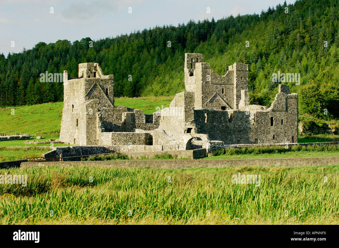 Fore Abbey, County Westmeath, Ireland. Benedictine monastery. Religious foundation by St