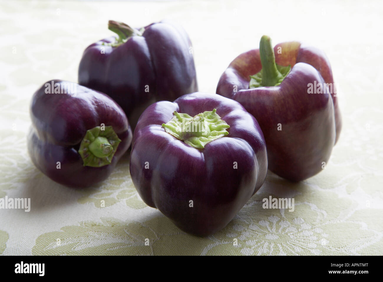 Purple bell peppers Stock Photo Alamy