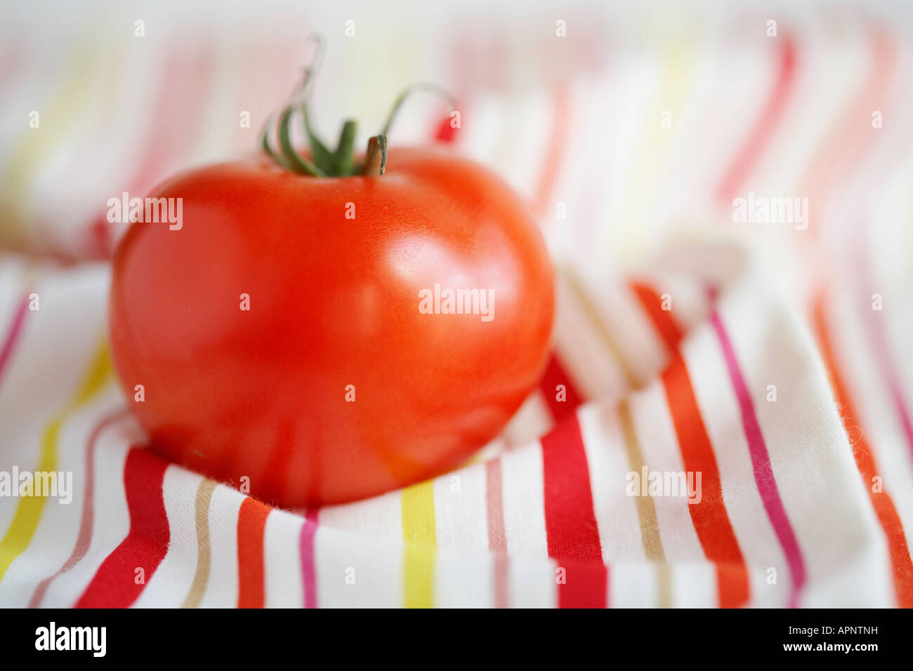 Single tomato on stripy tablecloth Stock Photo